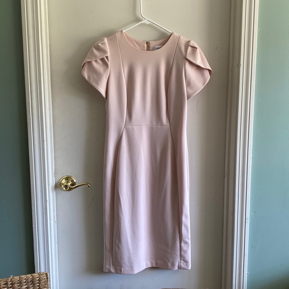 Calvin Klein blush fitted dress.